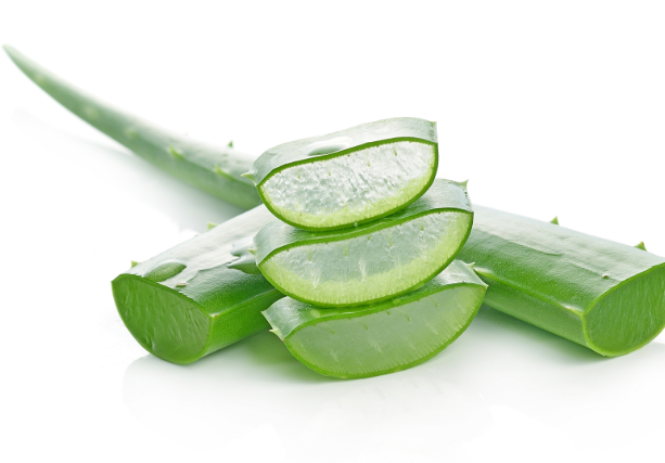 Obrázek Aloe Vera.