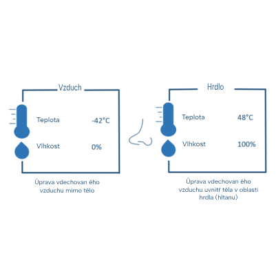Temperature and moisture variation scheme.